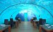 undersea-hotel-poseidon-resorts-interior-design-8